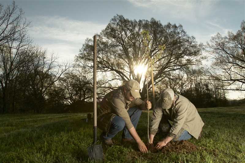 2nd Annual National Day of Conservation