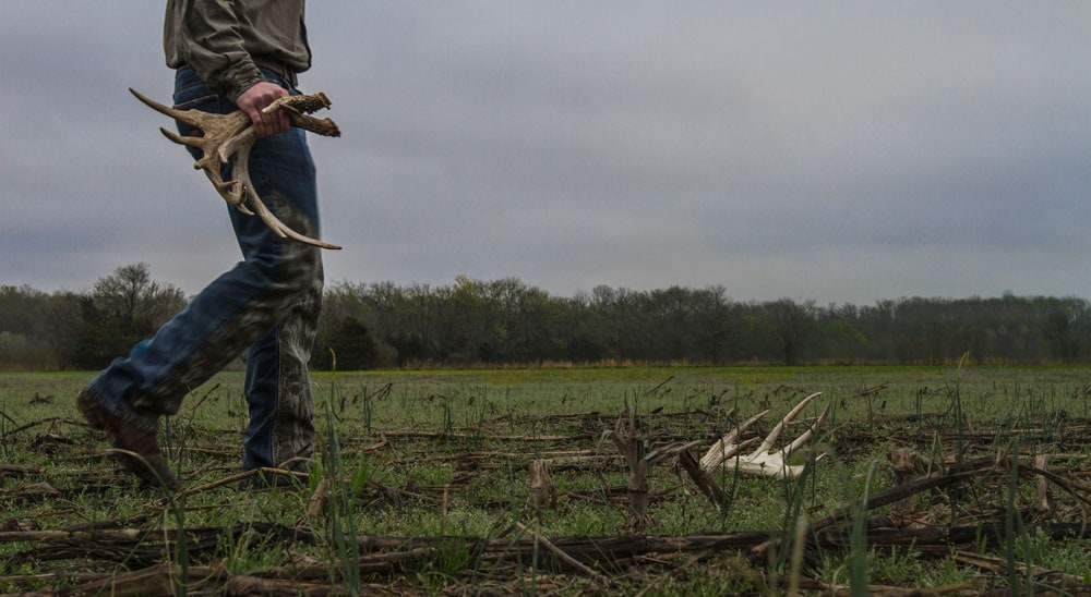 finding sheds