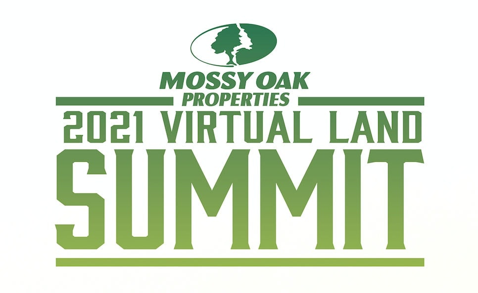 2021 Virtual Land Summit