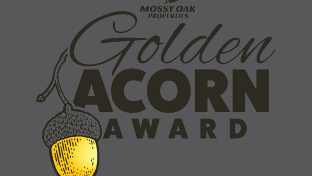 Golden Acorn Award