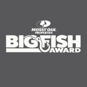 big fish award