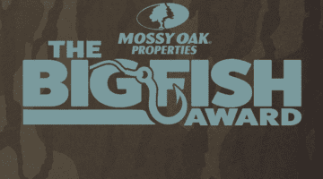 Mossy Oak Properties recognizes top five agents with largest transactions in 2022