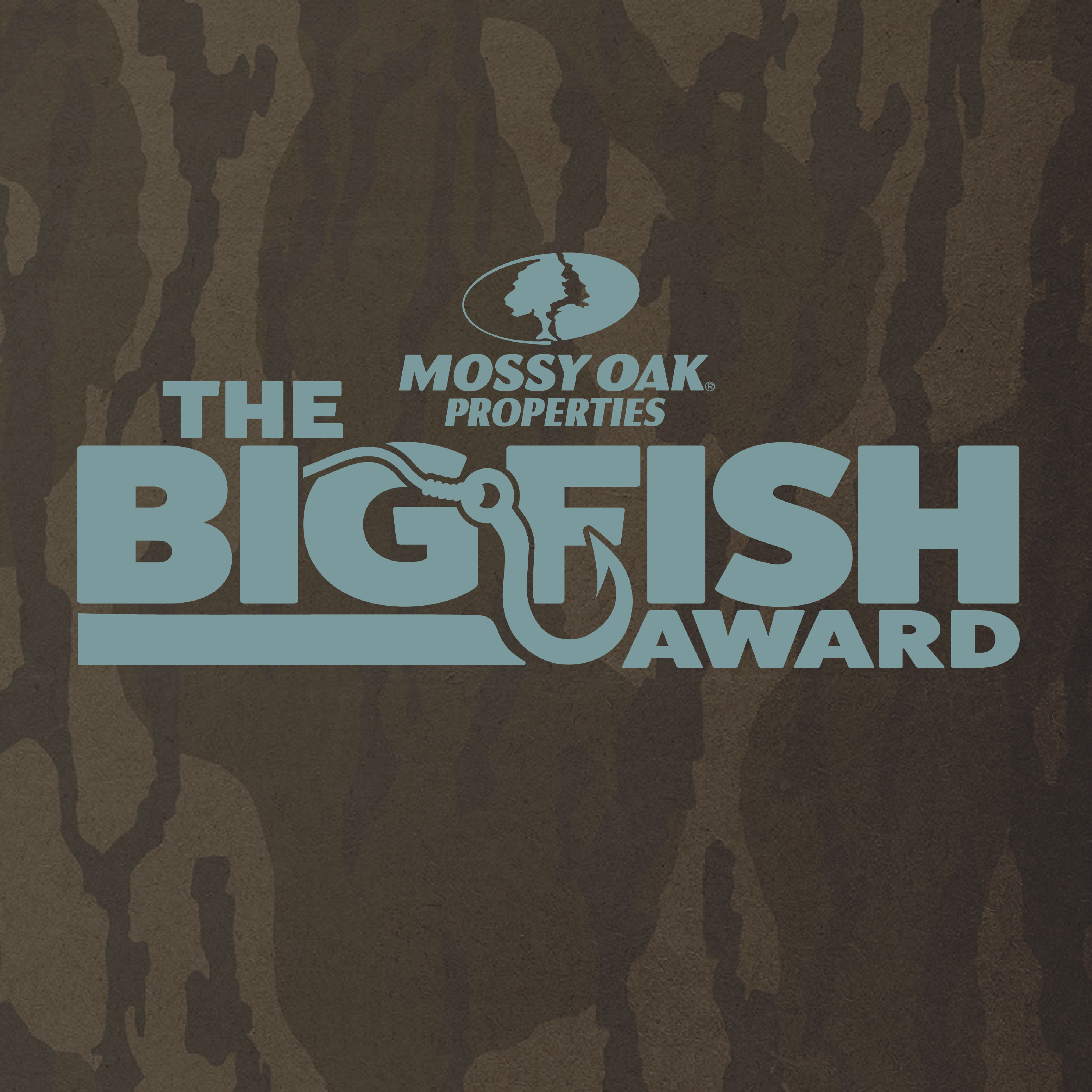 the bigfish award