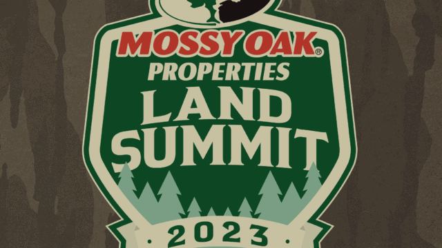 Land Summit 2023