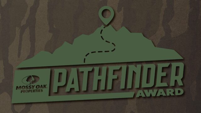 pathfinder award