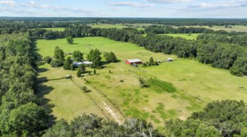 What is the Price of One Acre of Land in Florida? Exploring the Land Market