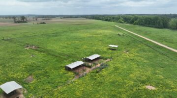 How Much is an Acre of Land in Louisiana?