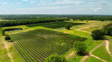 Buying Land in Arkansas: A Comprehensive Guide