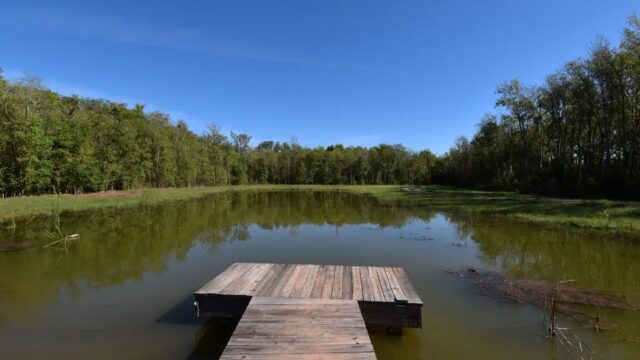 Louisiana land for sale