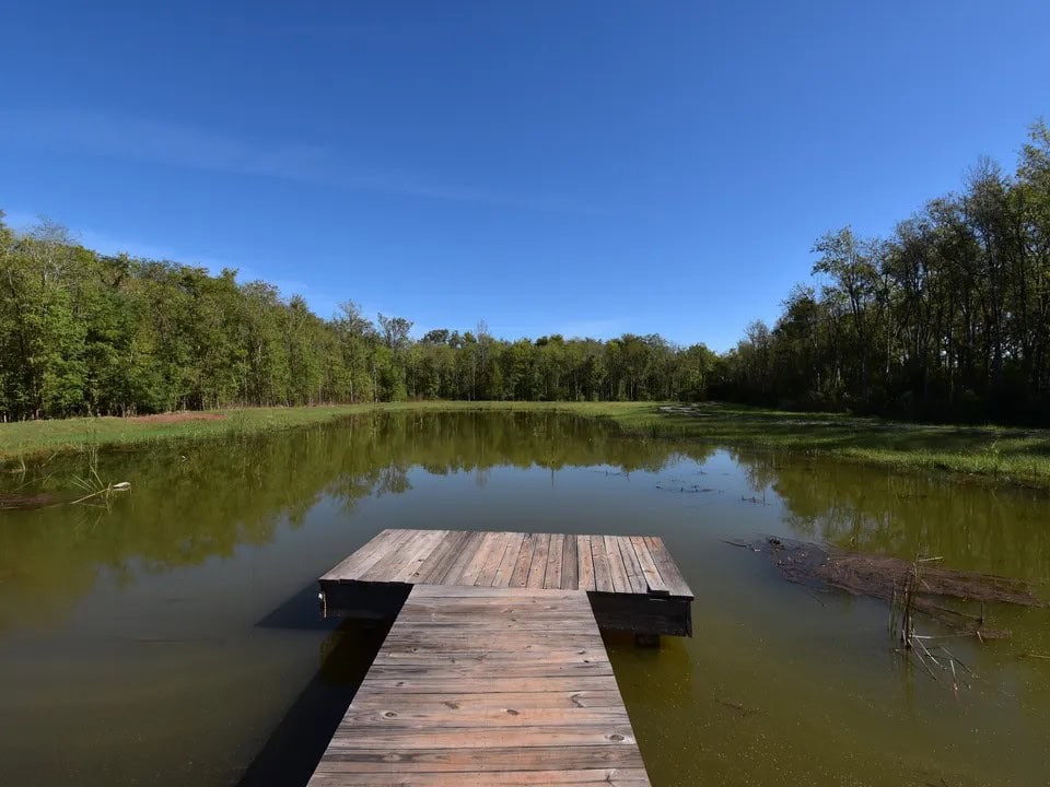 Louisiana land for sale