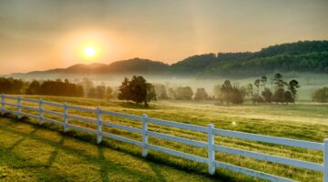 How Much Is an Acre of Land Worth in Tennessee?