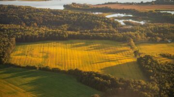 How Much Is an Acre of Land Worth in Virginia?