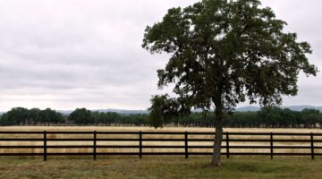 Farm Fencing Guide: Laws, Challenges, and Maintenance