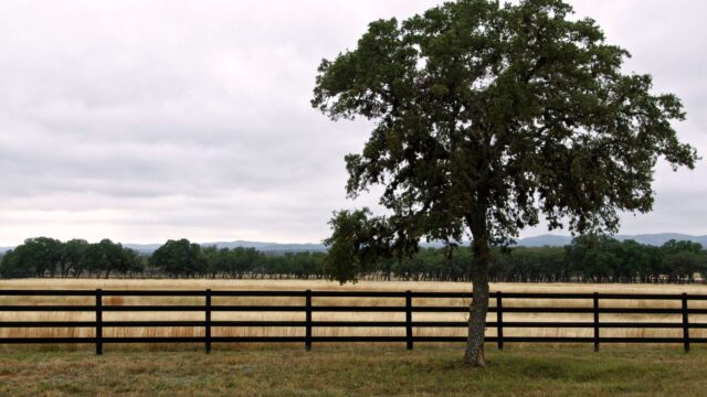 farm fencing guide