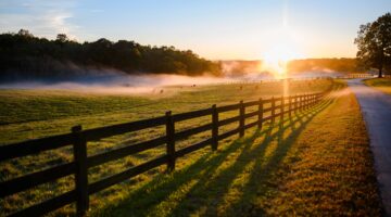 Family Land Trust: A Practical Way to Keep Land in the Family