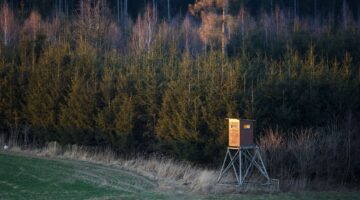 How Hunting Land Leases Work and What You Should Know