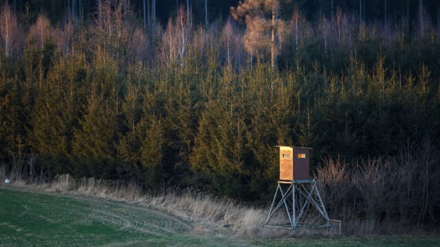 How Hunting Land Leases Work