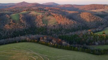 Logan May and Will Dawson: Your Trusted Real Estate Agents in Northwest Arkansas