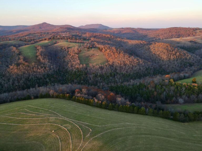 Your Trusted Real Estate Agents in Northwest Arkansas