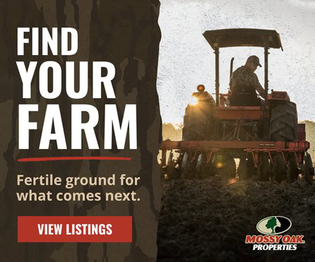 Farms For Sale