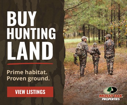 Hunting Land for Sale