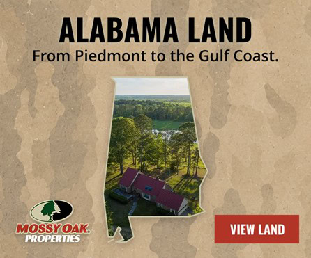 Alabama Land for Sale