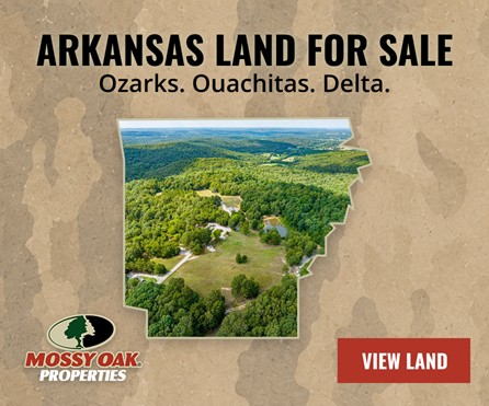 Arkansas Land for Sale