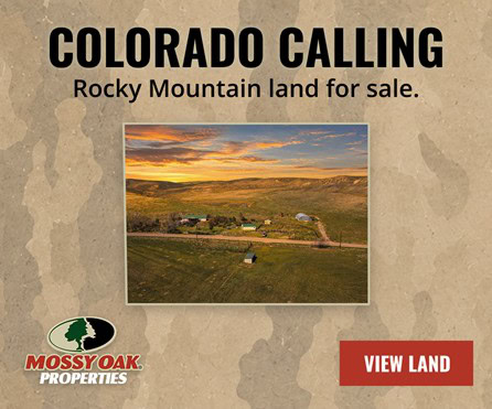 Colorado Land for Sale