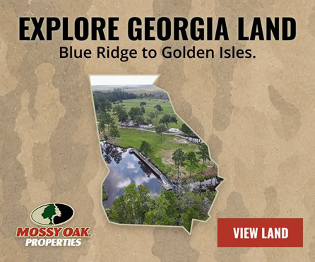 Georgia Land for Sale