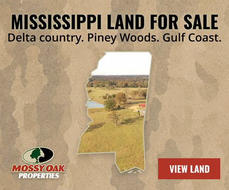 Mississippi Land for Sale