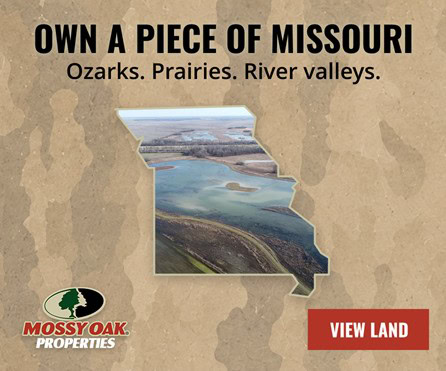 Missouri Land for Sale