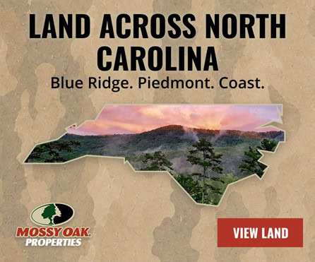 North Carolina Land for Sale