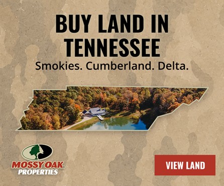Tennessee Land for Sale