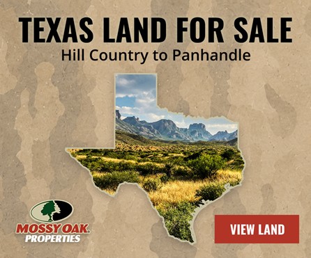 Texas Land for Sale