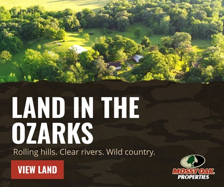 Land in the Ozarks
