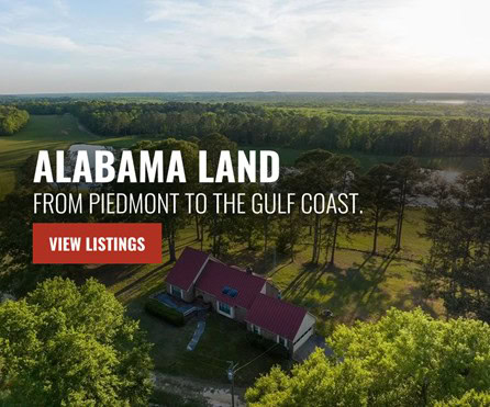 Alabama Land for Sale