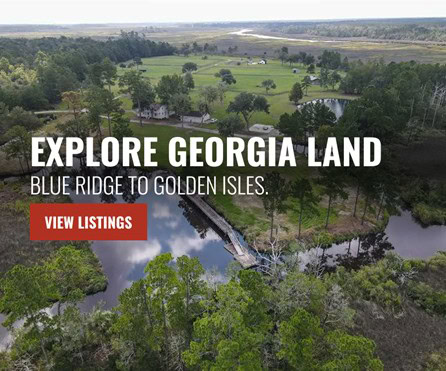 Georgia Land for Sale