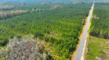How Georgia Timberland Investing Actually Pays Off