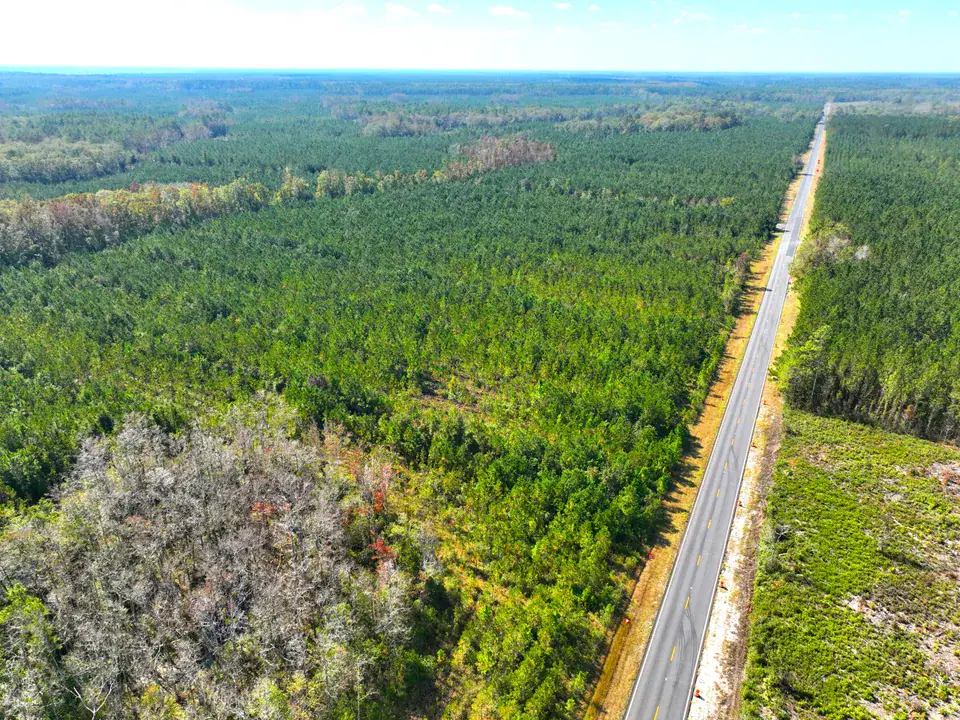 Investing in Georgia Timberland