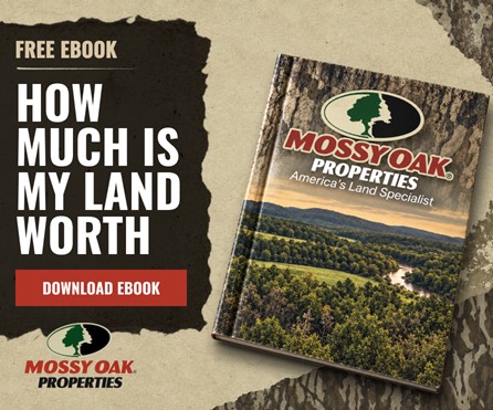 How Much Is My Land Worth