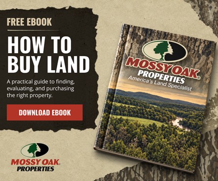 How to Buy Land