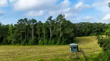 The Georgia Hunting Land Buyer’s Guide: Best Counties, Seasons, and What Land Actually Costs