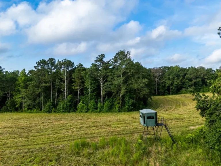Georgia Hunting Land Guide
